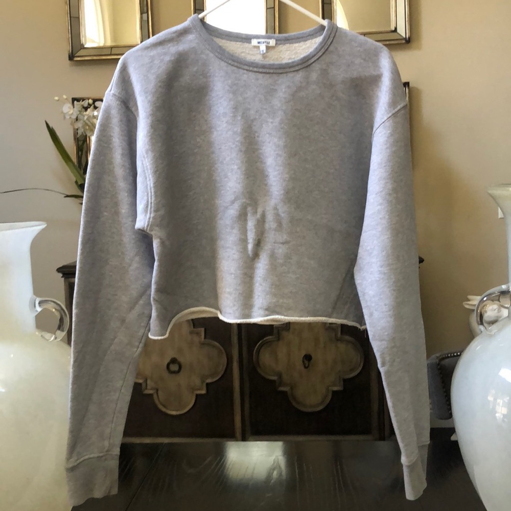 Brandy Melville Grey Cropped Crewneck